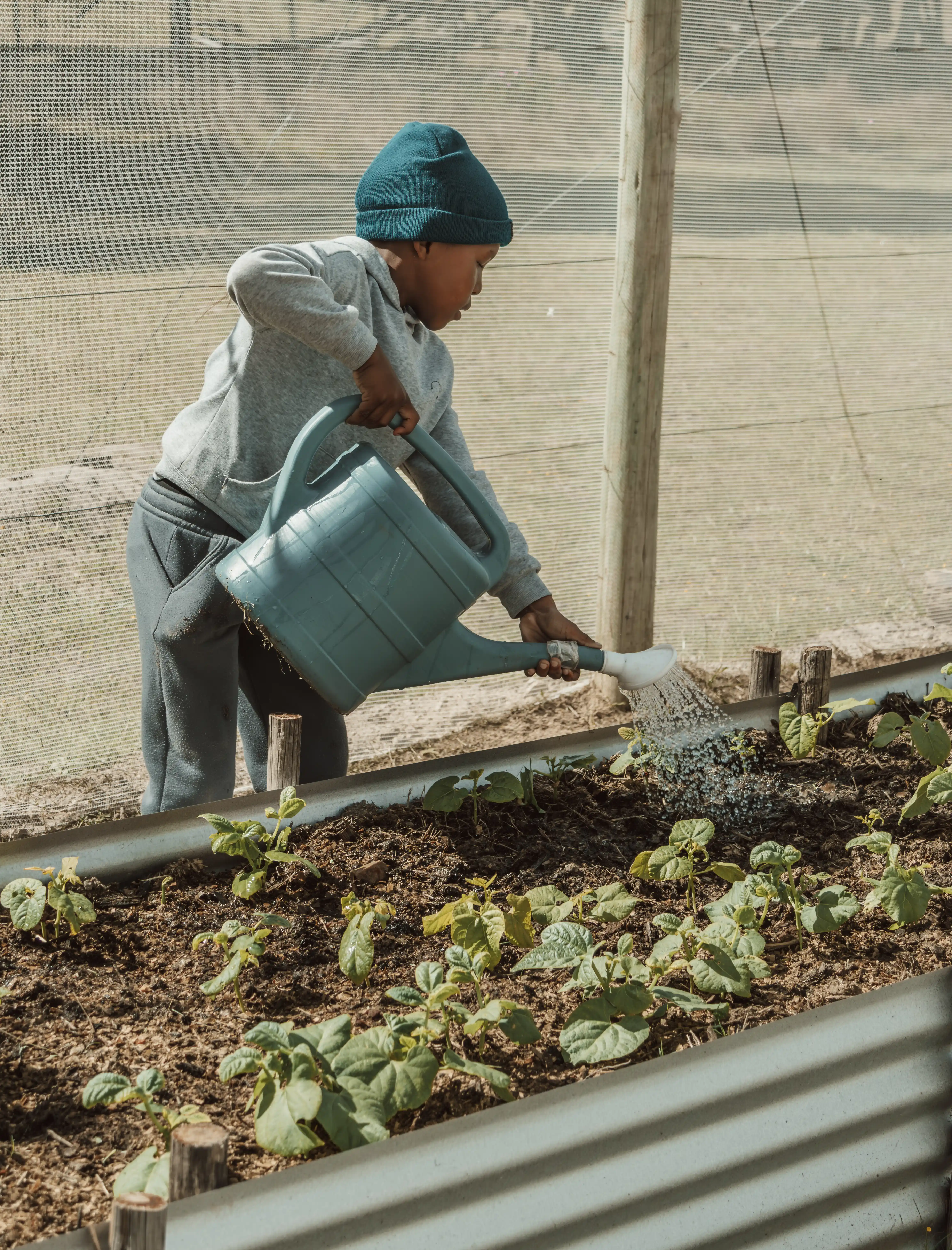 Community garden, Seven Fountains